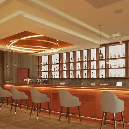 Radisson Blu Hotel.